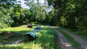 DJI_20250122100810_0043_D