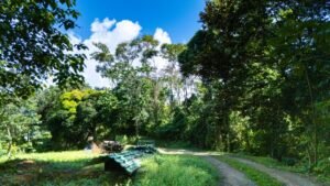 DJI_20250122100814_0044_D