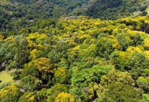 DJI_20250506031846_0935_D