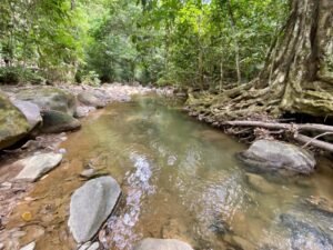 Dan Lancinger Real Estate Costa Rica 10