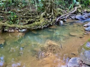 Dan Lancinger Real Estate Costa Rica 12