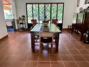 Dan Lancinger Real Estate Costa Rica 18