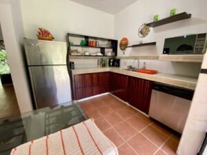 Dan Lancinger Real Estate Costa Rica 22