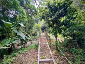 Dan Lancinger Real Estate Costa Rica 31