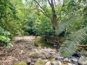 Dan Lancinger Real Estate Costa Rica 32