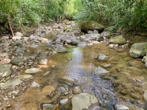 Dan Lancinger Real Estate Costa Rica 33