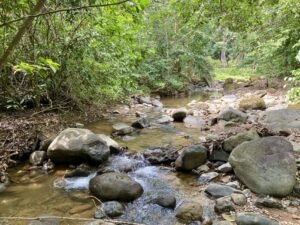 Dan Lancinger Real Estate Costa Rica 34