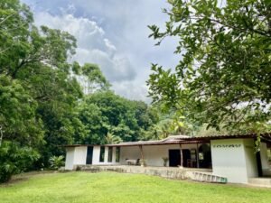 Dan Lancinger Real Estate Costa Rica 9