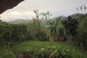 FB_IMG_1653876777962