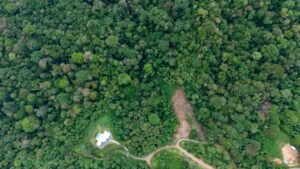 Foto 14-12-23, 15 50 00