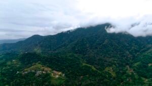 Foto 14-12-23, 15 54 44