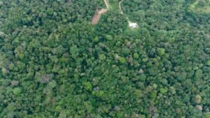 Foto 14-12-23, 15 57 20