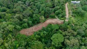 Foto 14-12-23, 16 01 18