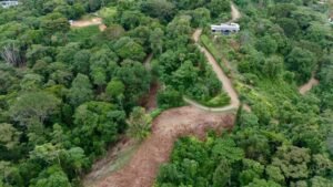 Foto 14-12-23, 16 01 42