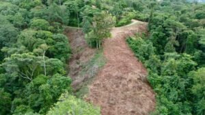 Foto 14-12-23, 16 02 53