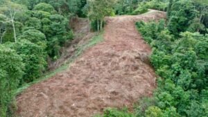 Foto 14-12-23, 16 03 45