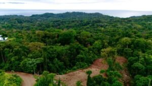 Foto 14-12-23, 16 06 28