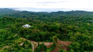 Foto 14-12-23, 16 07 05