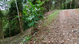 Foto 14-12-23, 16 29 38