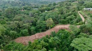 Foto 14-12-23, 16 39 38 (1)