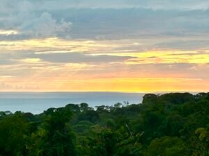 Foto 14-12-23, 16 48 13