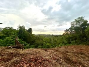 Foto 14-12-23, 16 51 34