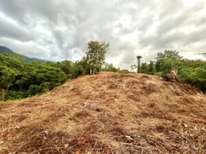 Foto 14-12-23, 16 52 35