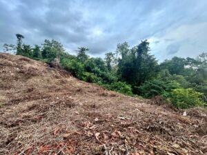 Foto 14-12-23, 16 52 42