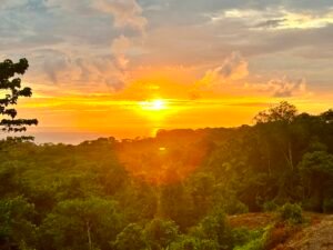 Foto 14-12-23, 17 05 30