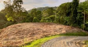 b282149c-ede9-48c0-a0d2-3e8993a7f3db