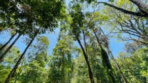 120012 Niki Davis – Cinco Ventanas 3 homes48