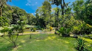 120012 Niki Davis – Cinco Ventanas 3 homes86