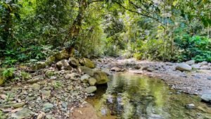 120012 Niki Davis – Cinco Ventanas 3 homes92