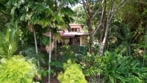 140010 House For Sale in Dominicalito 01