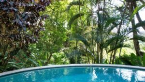 140010 House For Sale in Dominicalito 02