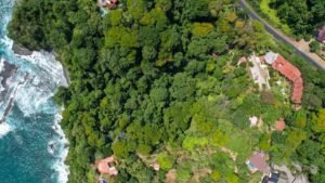 140010 House For Sale in Dominicalito 24