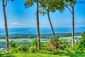 23Brisas-del-Mar-Portalon-Coldwell-Banker