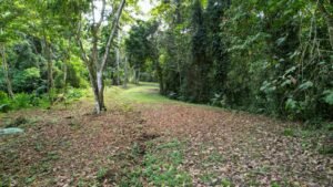 Property for sale in Tres Rios Costa Rica