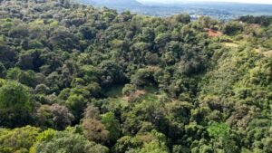 Property for sale in Tres Rios Costa Rica