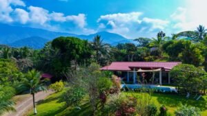 CASA OJOCHAL–5 (Large)