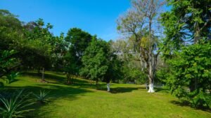 CASA OJOCHAL-607 (Large)