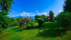 CASA OJOCHAL-609 (Large)