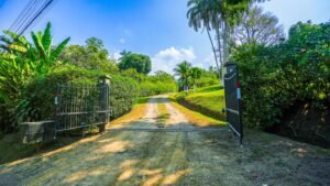 CASA OJOCHAL-619 (Large)