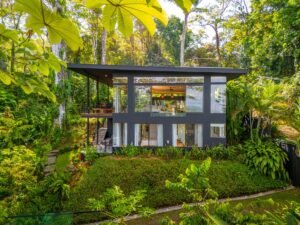 DJI_20250211090146_0813_D