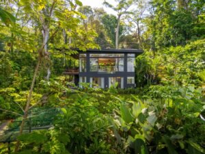 DJI_20250211090220_0814_D