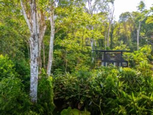 DJI_20250211090419_0817_D