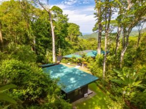 DJI_20250211090931_0823_D-Enhanced-NR