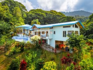 DJI_20250401091259_0475_D