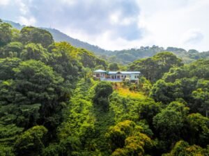 DJI_20250401091432_0477_D