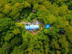 DJI_20250401091538_0480_D